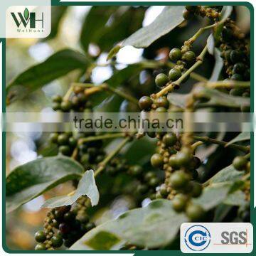 Vietnam Spicy Aromatic Herb - Black Pepper Seed 500gl photo-4