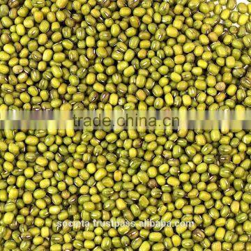 Australian Green Mung Beans