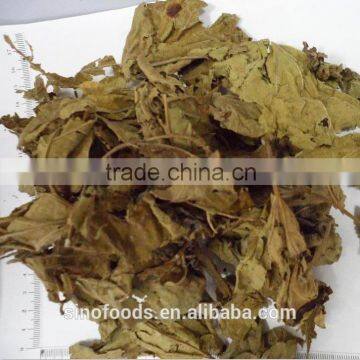 folium mori factory direct supply sang ye dried Mulberry leaf