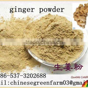 chinese dried ginger powder with good taste