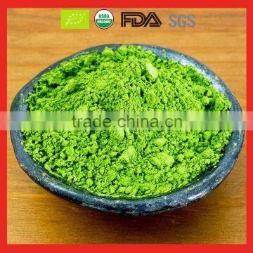 Free Sample Instant Matcha Green Tea Powder USDA Organic Certified