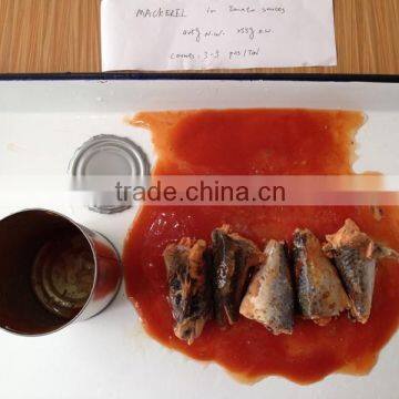 Canned Mackerel in Tomato Sauce Chinese Food