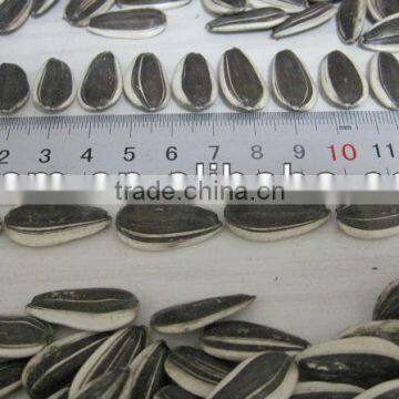 5009 24/64 Sunflower Seeds photo-2