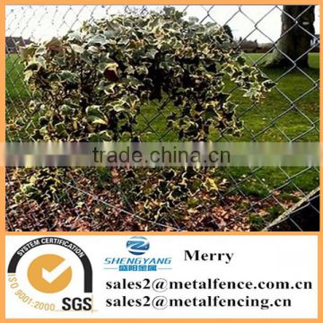 Galvanized decorative chain Link Guardrail(ISO9001:2000)