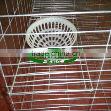 Qatar Poultry Farm Wire Mesh Pigeon Breeding Cage