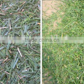 High Quality Machine Cut Grass & Hay for Sale photo-6
