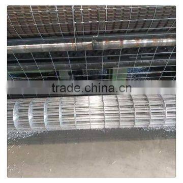 stainless steel welded wire mesh / galvanized welded wire mesh for sale