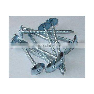 New Product Roofing Nail Made in China photo-2