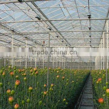 Pervious to light vegetables greenhouse