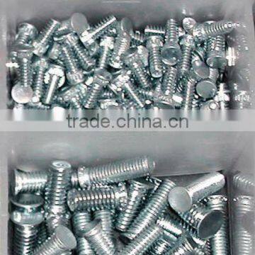 rivet screw