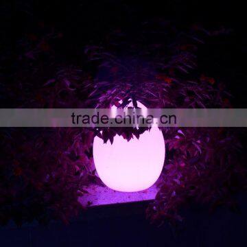 DC Charger Waterproof Led Eggs Color Changing Led Eggs Light photo-5
