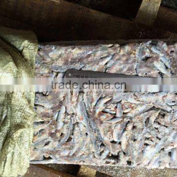 Fresh Frozen Small Anchovy photo-6