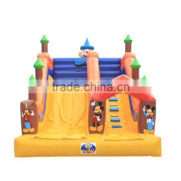 Inflatable Slide Giant Inflatable Stair Slide Toys as Water Slide photo-6
