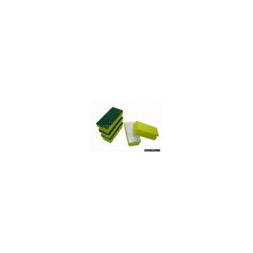 sponge scouring pad