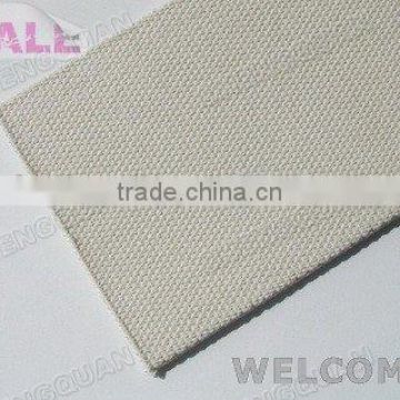 hot!!! /good quality and low price/it's your good choice! canvas webbing/endless cotton biscuit webbing