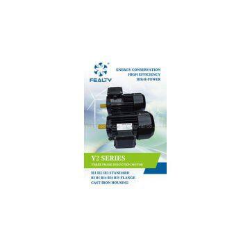 Y2 series motor