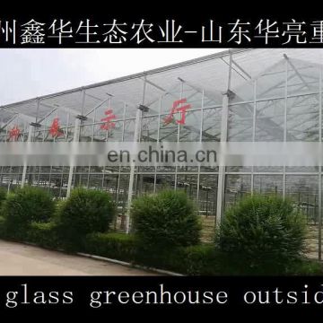 SHINEHWA Venlo Glass Greenhouse For Hydroponic Growing System