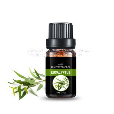Factory Wholesale  Eucalyptus Essential Oil Pure Natural oil