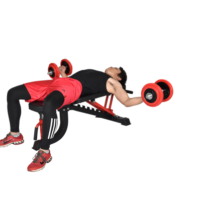 New Style Indoor Customized Exercise Bench Dumbbell Bench