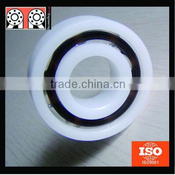 Radial Sealed Frictionless Plastic Bearing