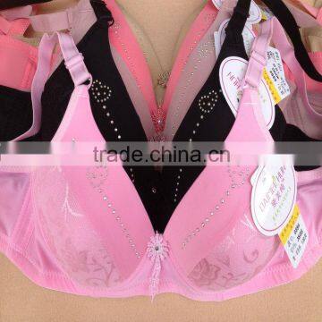 0.98USD Bra Without Rim 36-42B For High Quality Big Size Push Up Cotton Newest Bras/Bra Models (gdwx271)