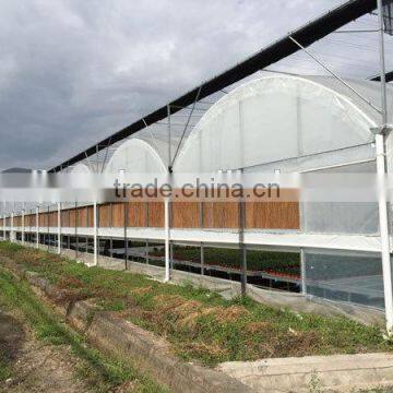UV Treated Plastic Greenhouses for Sale photo-2