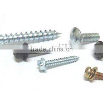 Self Tapping Screw