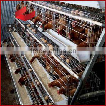 A Type, 3 Layer Layer Chicken Battery Cages In Poultry Farms