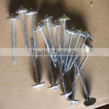 ISO14000hot dipped /electro galvanized umbrella roofing nails