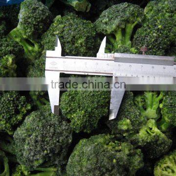 IQF FROZEN BROCCOLI FLORETS STEAM COOKED SIZE :2-4CM,3-5CM,10KG/CARTON