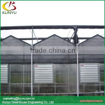 Multi-span agricultural greenhouse polycarbonate sheet greenhouse for sale