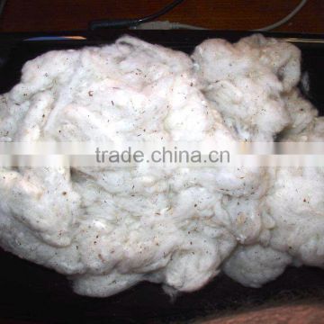 Cotton Lickrien fiber waste/ cotton dropping waste