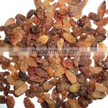 seedless sultana raisin