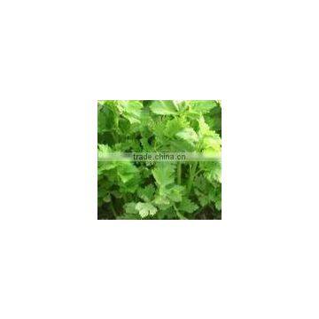 Apigenin_520-36-5