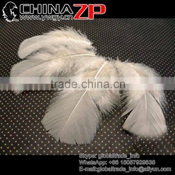 CHINAZP Good Quality Plumage Wholesale Dyed Ivory Turkey T-Base Body Feathers for sale
