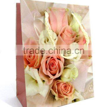 fashion paper gift shopping bags