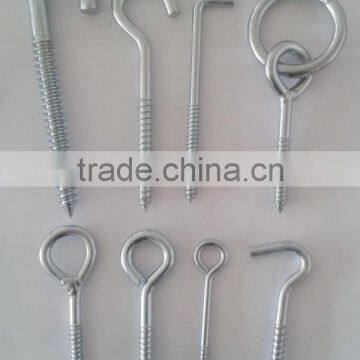 Various sizes and types carbon steel fastener wood screw