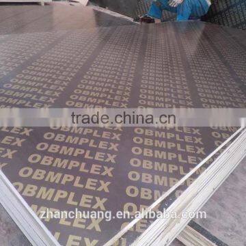 High Qulity shuttering plywood /4*8 plywood marine plywood price