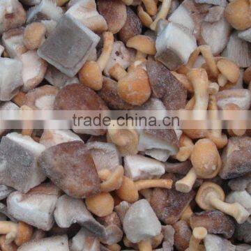 IQF Frozen Shiitake Mushroom Whole/Cuts/Slices photo-6