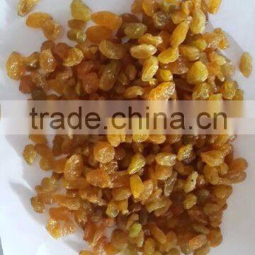 GOLDEN RAISIN (NEW CROP) photo-6