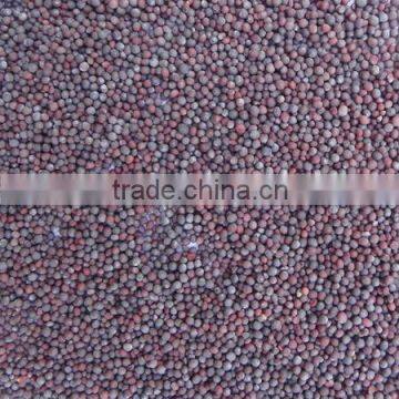 MUSTARD SEED