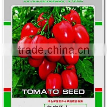 Royal saint red cherry tomato seeds