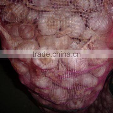 Well-chosen Top Quality Dehydrated Pure White Garlic in Carton photo-3