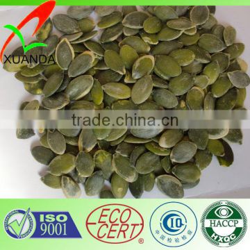 New type pumpkin seeds green kernels GWS A