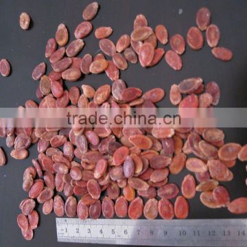 Chinese Red Watermelon Seeds