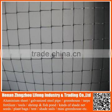 new arrival pe anti uv greenhouse anti bird net , nylon agricultural bird netting , plastic green bird control screen mesh net