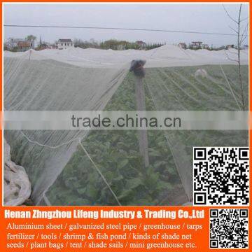 Top Selling 20/30/40/50 Mesh Hdpe Plastic Agriculture Greenhouse Vegetable and Fruit Anti-insect Net , Nylon Insect Net photo-6
