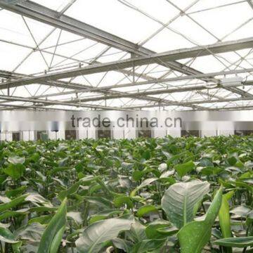 Stainless Steel Air Circulation Fan for Greenhouse/Poultry made in china