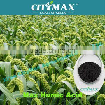 Humus Fertilizer Organic Fertilizers