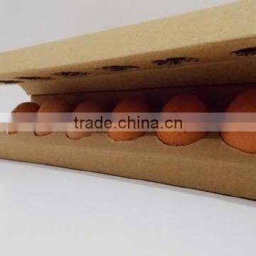HT-D100 Automatic Egg Packing Machine From China photo-2
